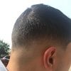 pedro2398